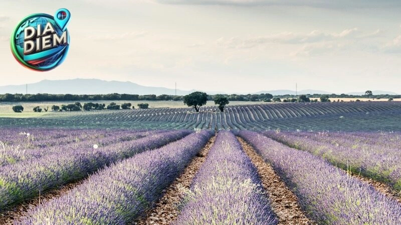 Hậu Giang miền nào và đặc trưng văn hóa của vùng đất này