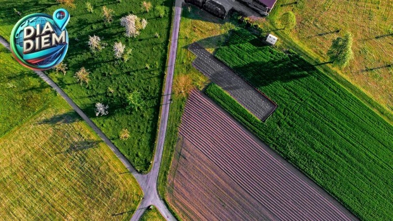 Khám phá làng nghề truyền thống Hộ Phòng