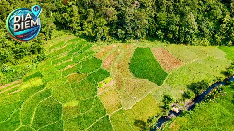 Những Điểm Đến Hấp Dẫn Tại Hậu Giang