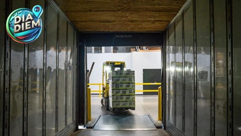 Tại sao kho Tuy Phước Soc lại trở nên phổ biến?