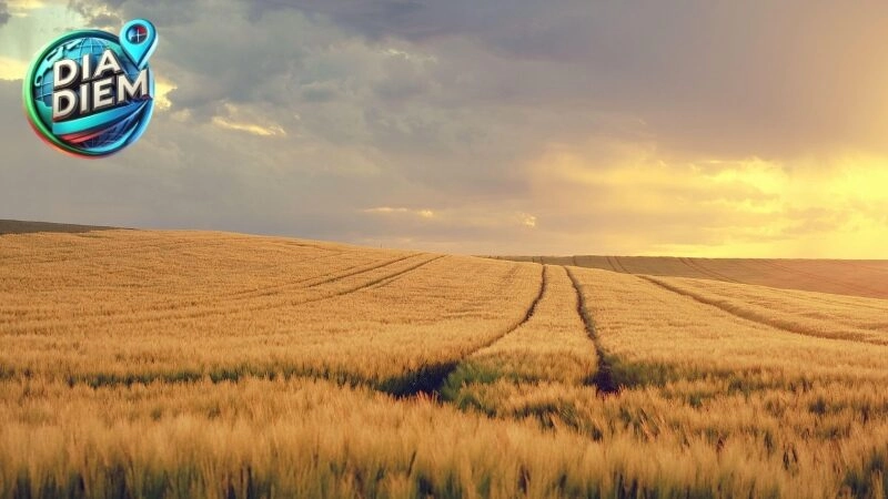 Vị trí địa lý của Tiền Giang và vai trò quan trọng với vùng Đồng bằng sông Cửu Long