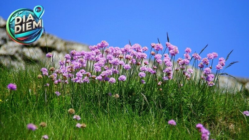 Vùng Đất Hậu Giang: Sự Bình Yên Và Thanh Bình